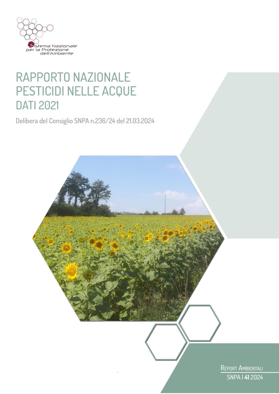 rapporto_41_2024_dati-2021_1.pdf