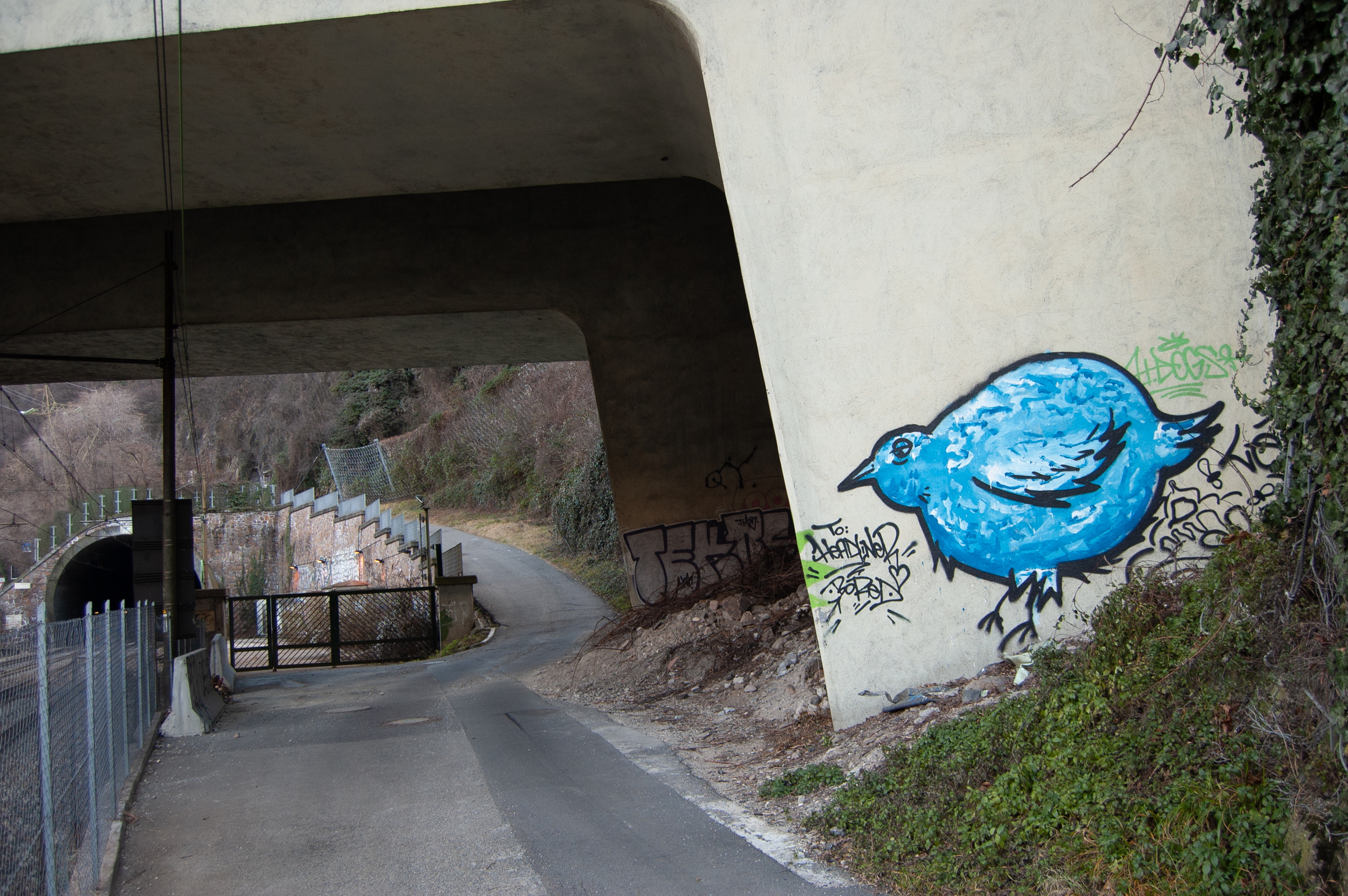 „Blue Bird” in mixed media ... ;-) ... Somewhere north of Bolzano/Bozen.