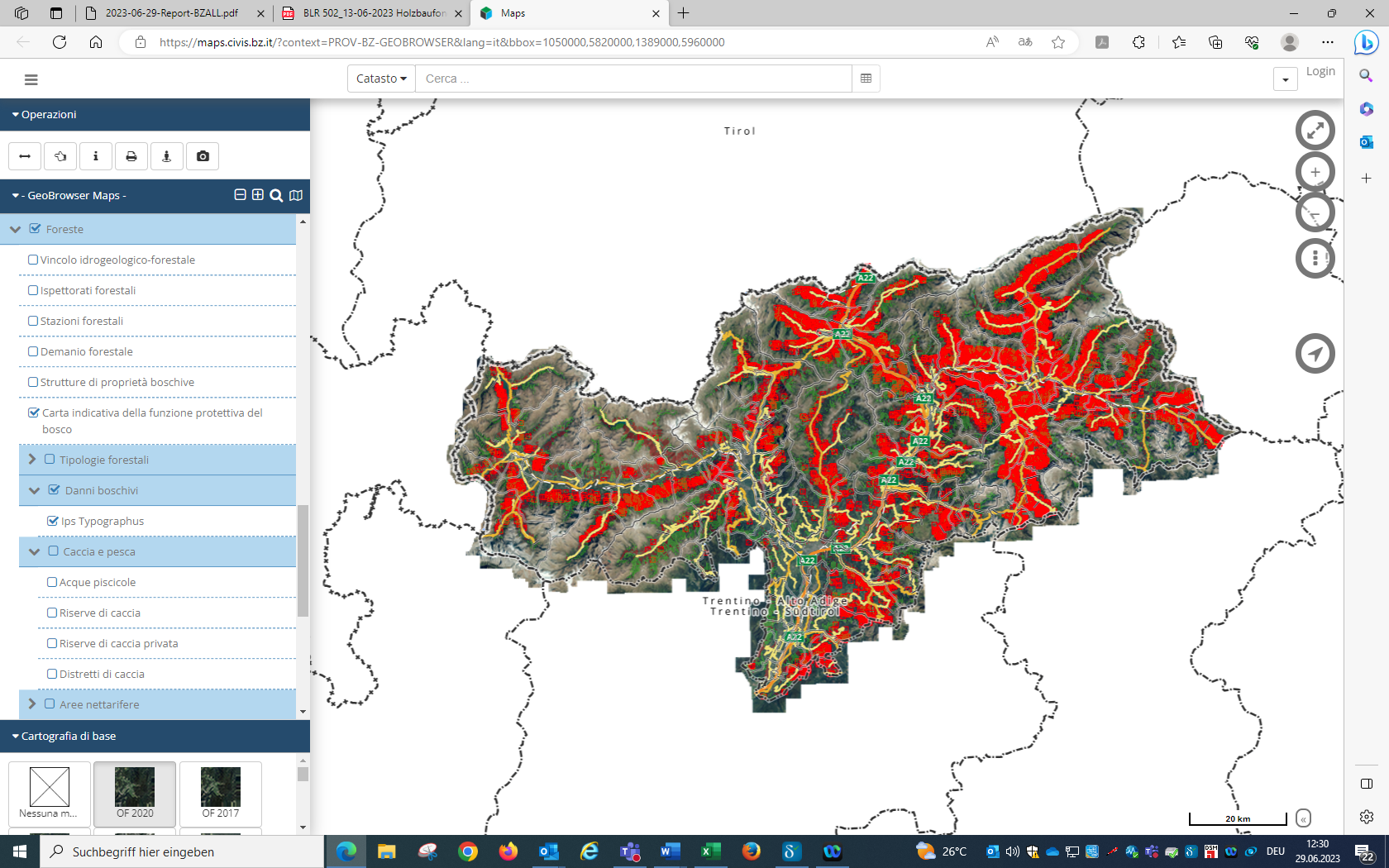 borkenkaferbefall_sudtirol_geobroweser.png