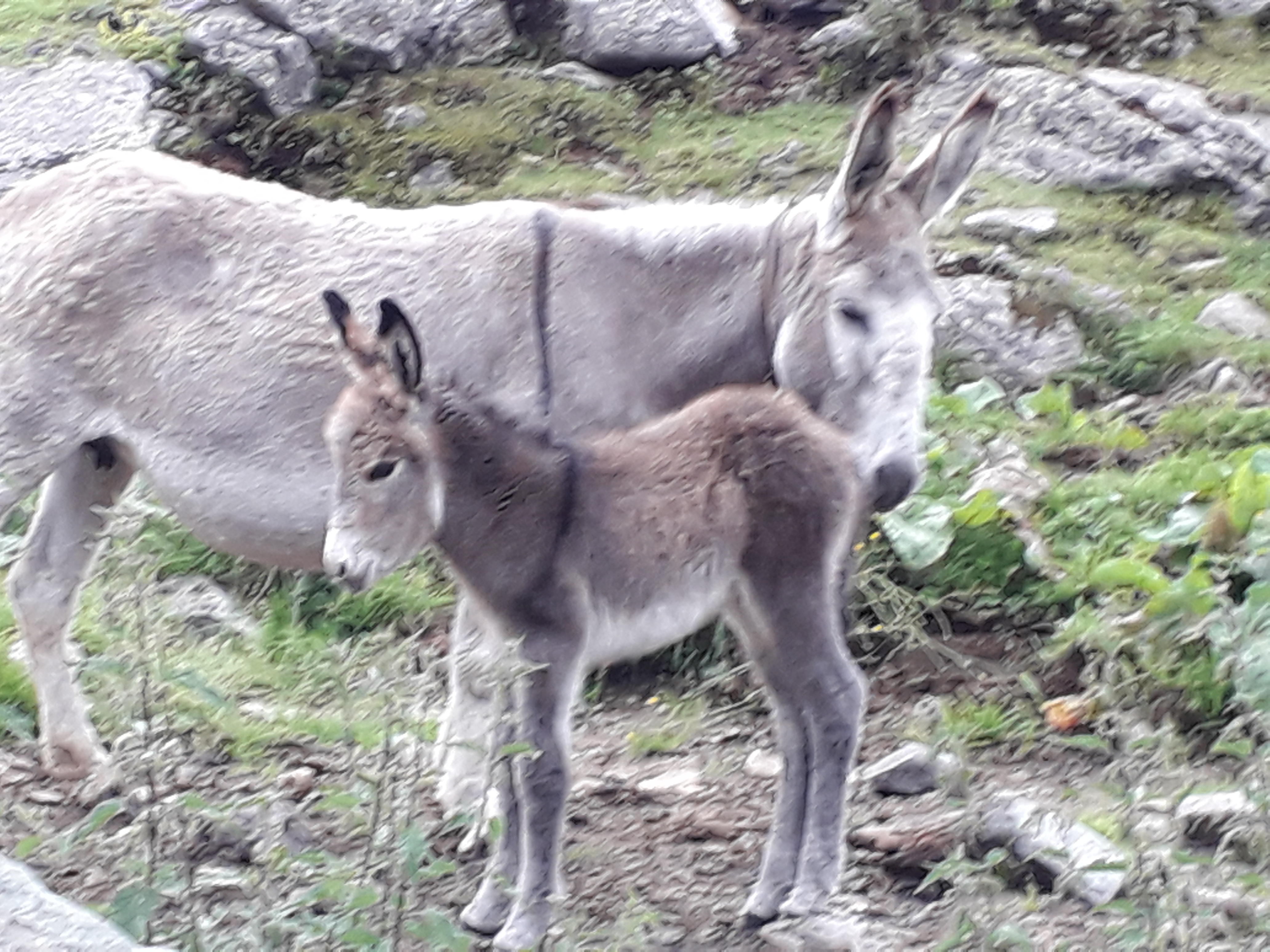 Profil für Benutzer Walter K 