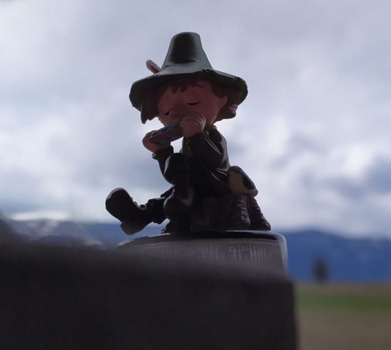 Profil für Benutzer Eva Reichegger 