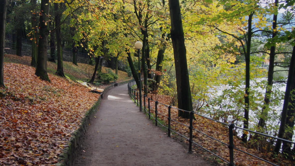 Herbstliche Promenade