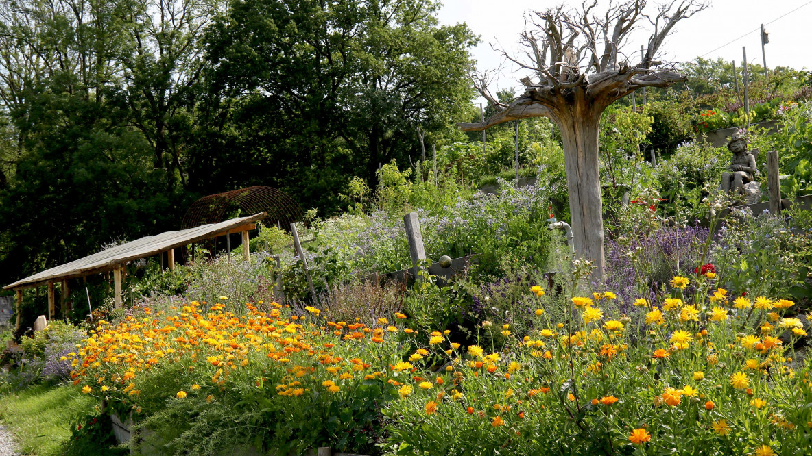 Mehr Biodiversität, mehr Artenvielfalt.