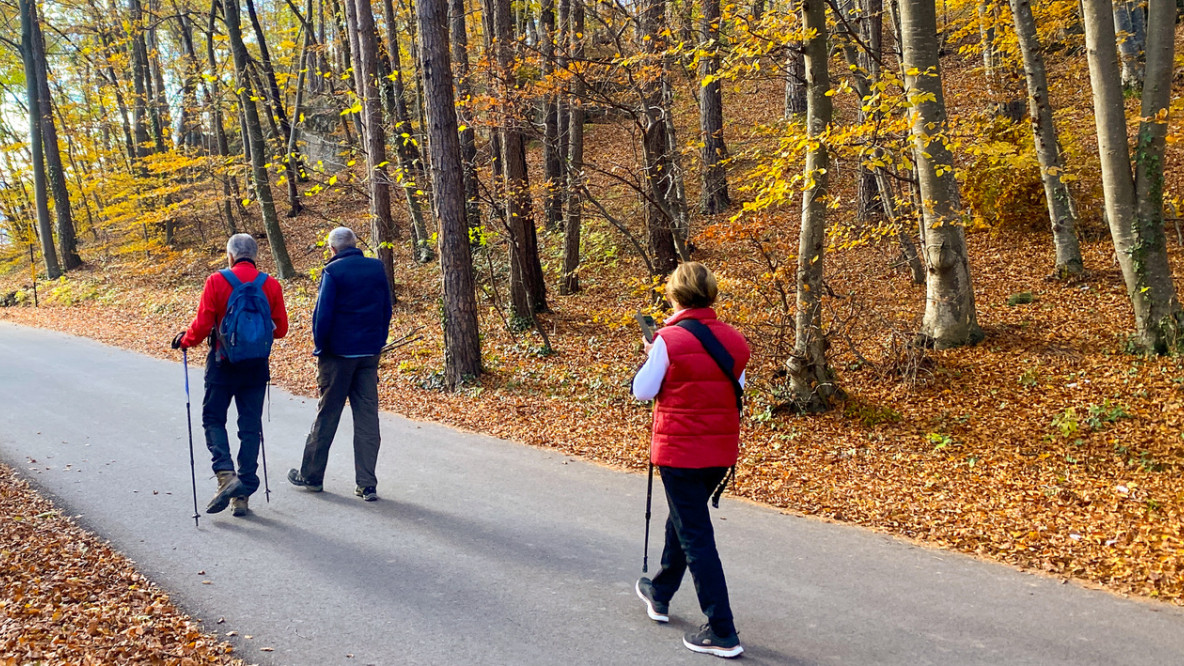 Wanderung nach Graun bei Kurtatsch