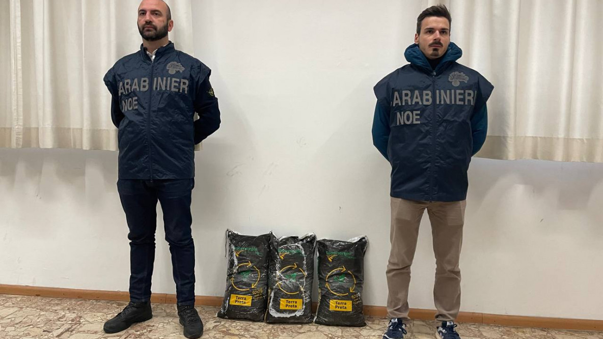 indagini fertilizzanti