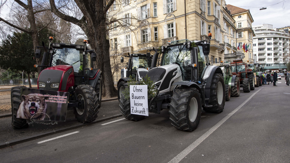 Bauerndemo