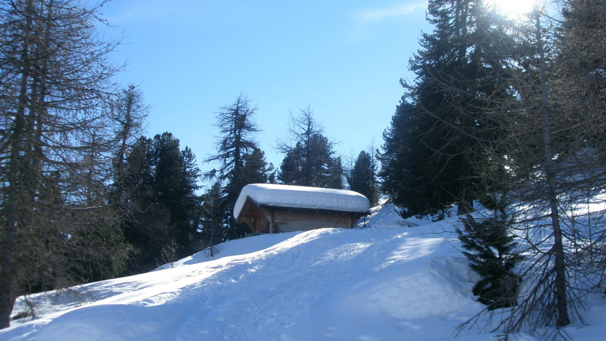 Kälberalm ober Schlinig