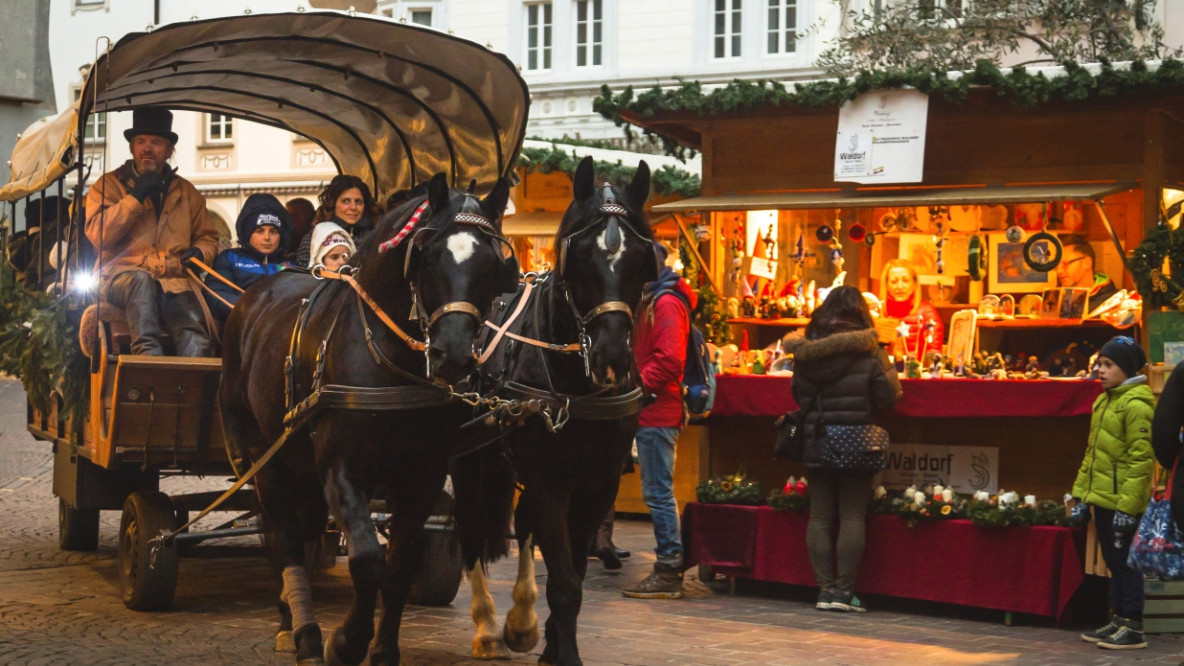 carrozza cavalli mercatino di natale