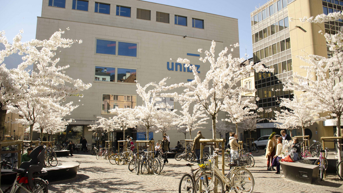 Università svelata. 20 marzo 2024