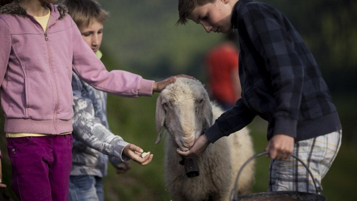 Soziale Landwirtschaft