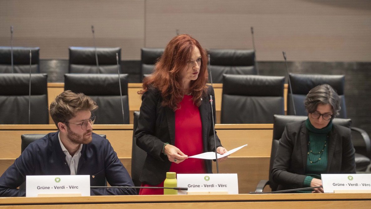 Brigitte Foppa Landtag