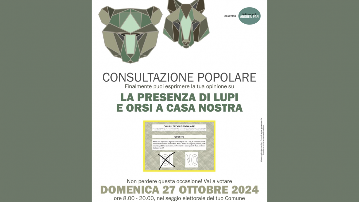 referendum Orso