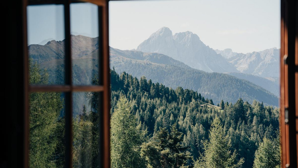 Fenster in die Natur.