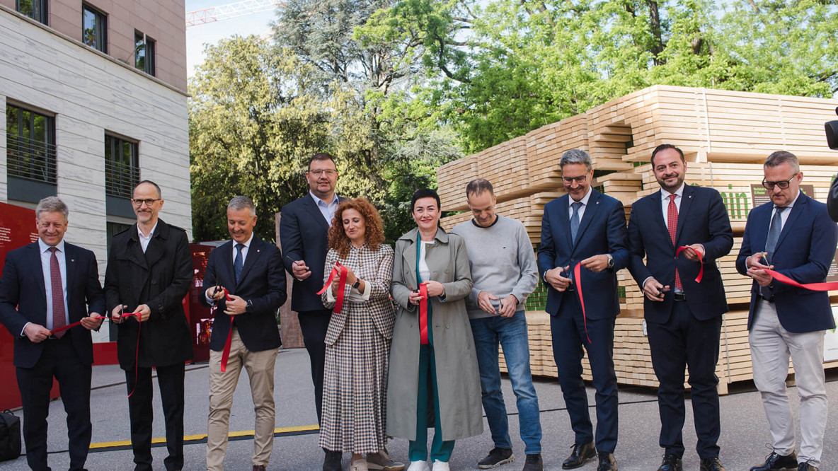 IDM, Holzwirtschaft