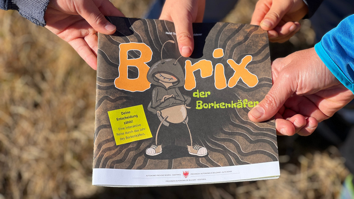 Kinderbuch Borix