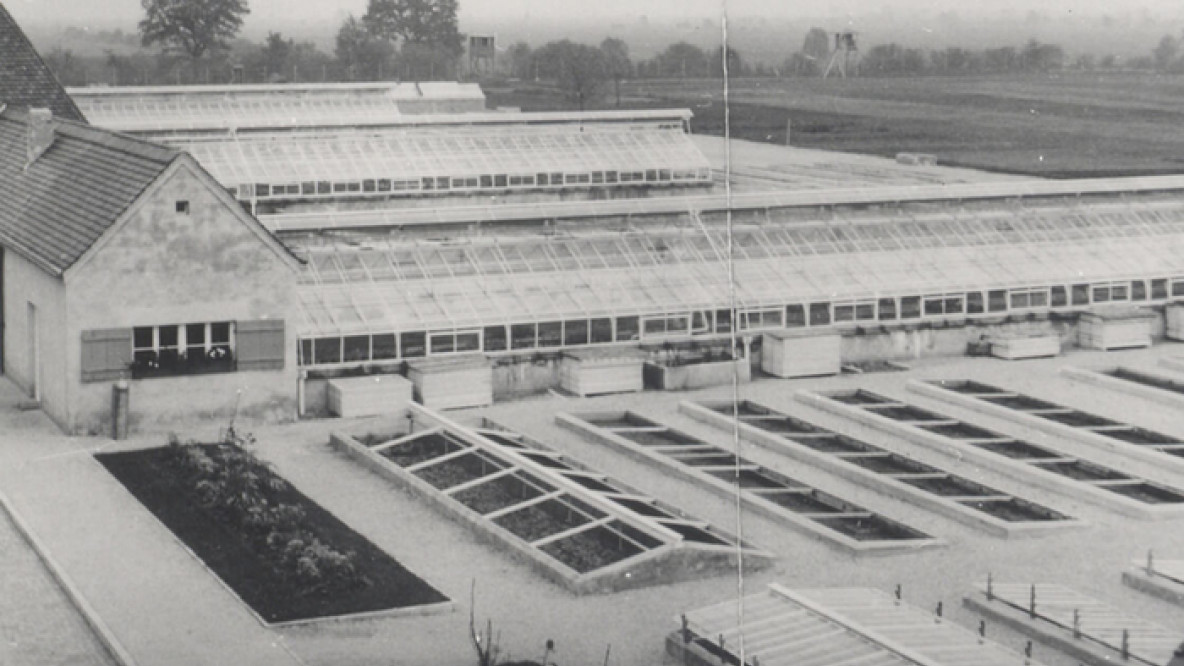 Dachau