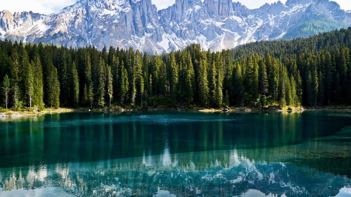 foreste