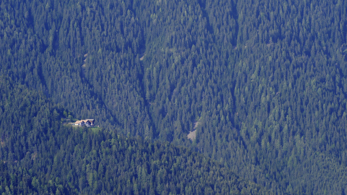 Seehauerfoto