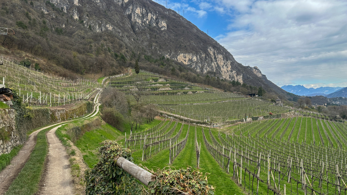 Start in Belvedere Ravina mit Blick Richtung Sardagna