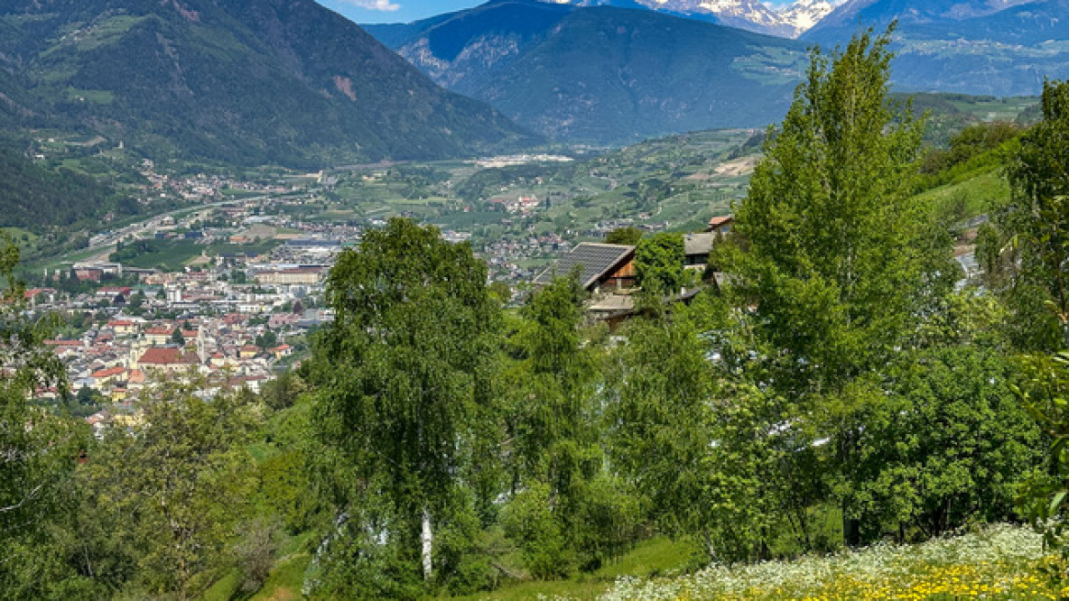 Blick auf Brixen