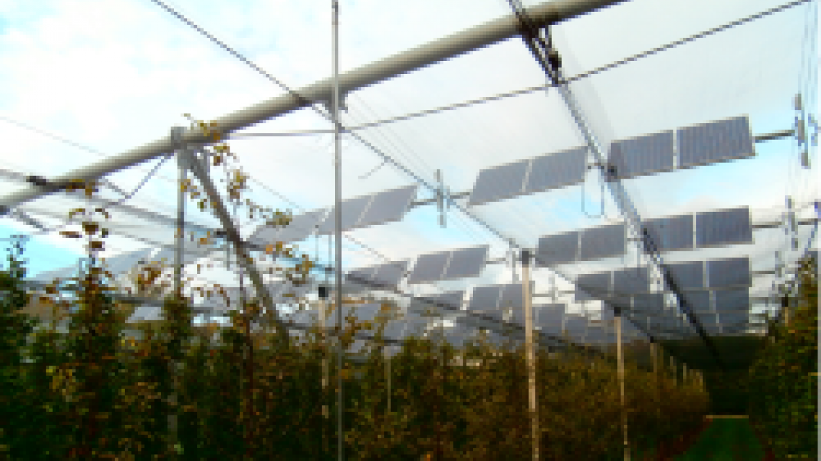 Agri-Photovoltaik-Anlage