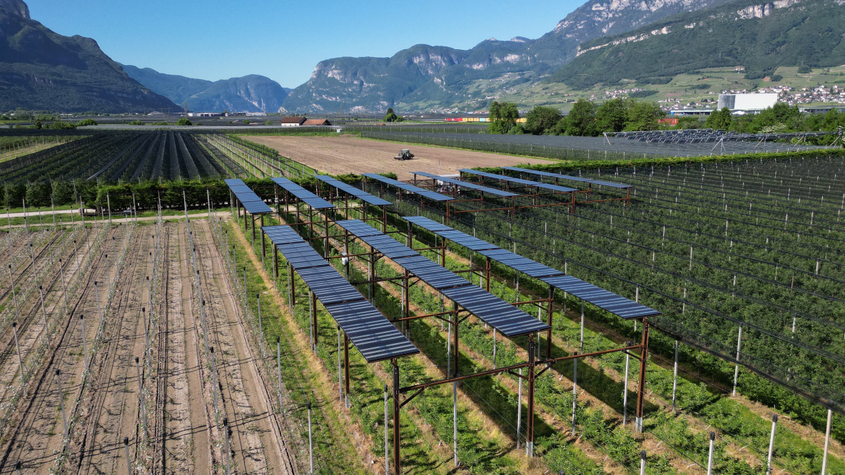 Agri-Photovoltaik Auer