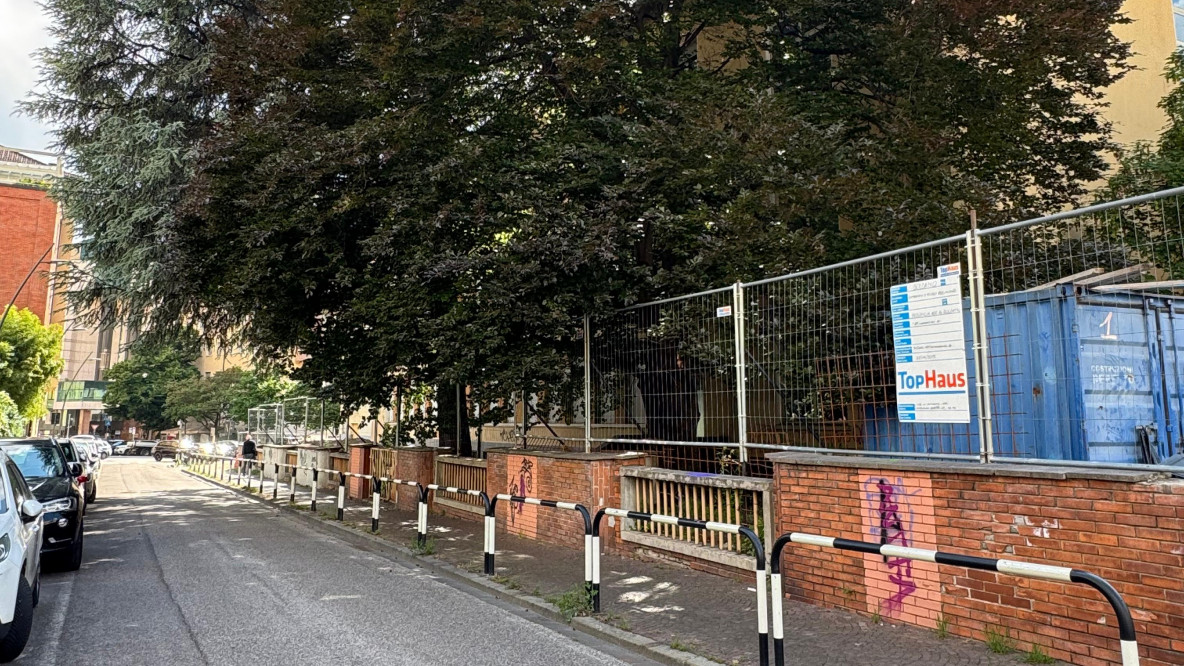 alberi dell'ex Pascoli