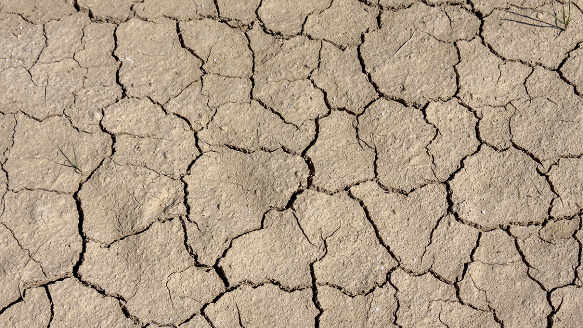 climate risk