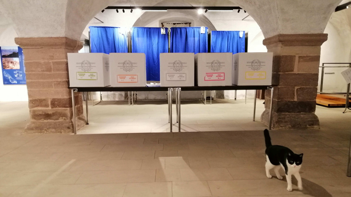 Referendum: alles für die Katz