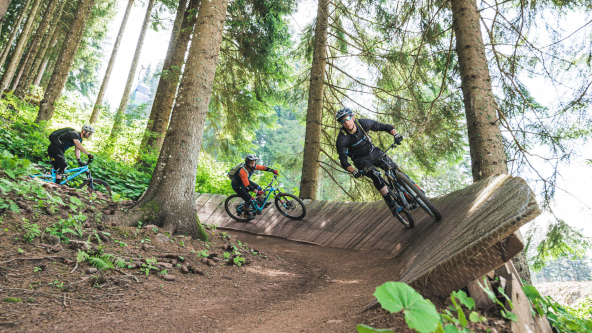 Mountainbike Trail in Altopiano della Paganella