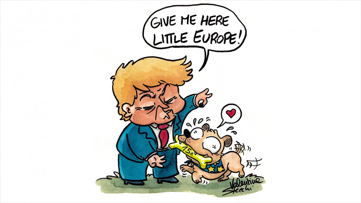 Cagnolini d'America