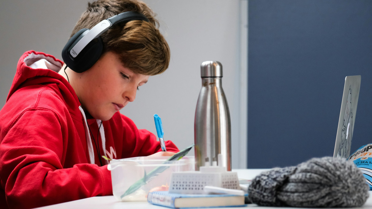 Schüler, Student