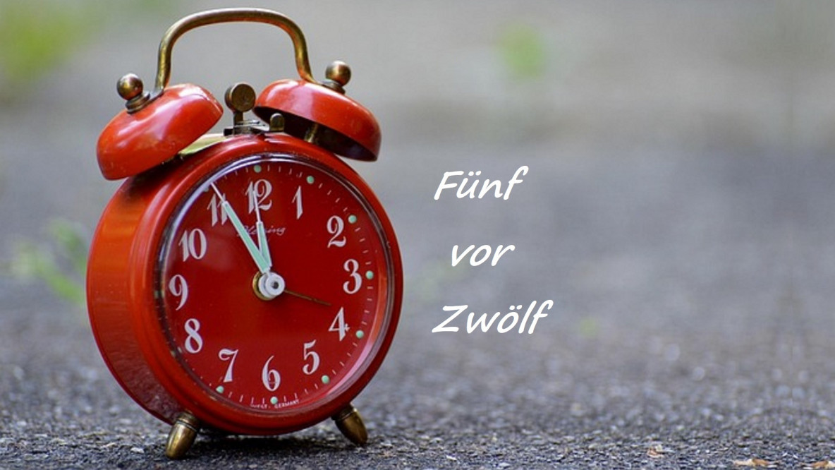 (C) pixabay