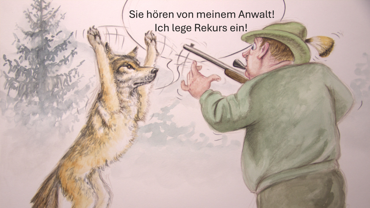 wolfsabschuss