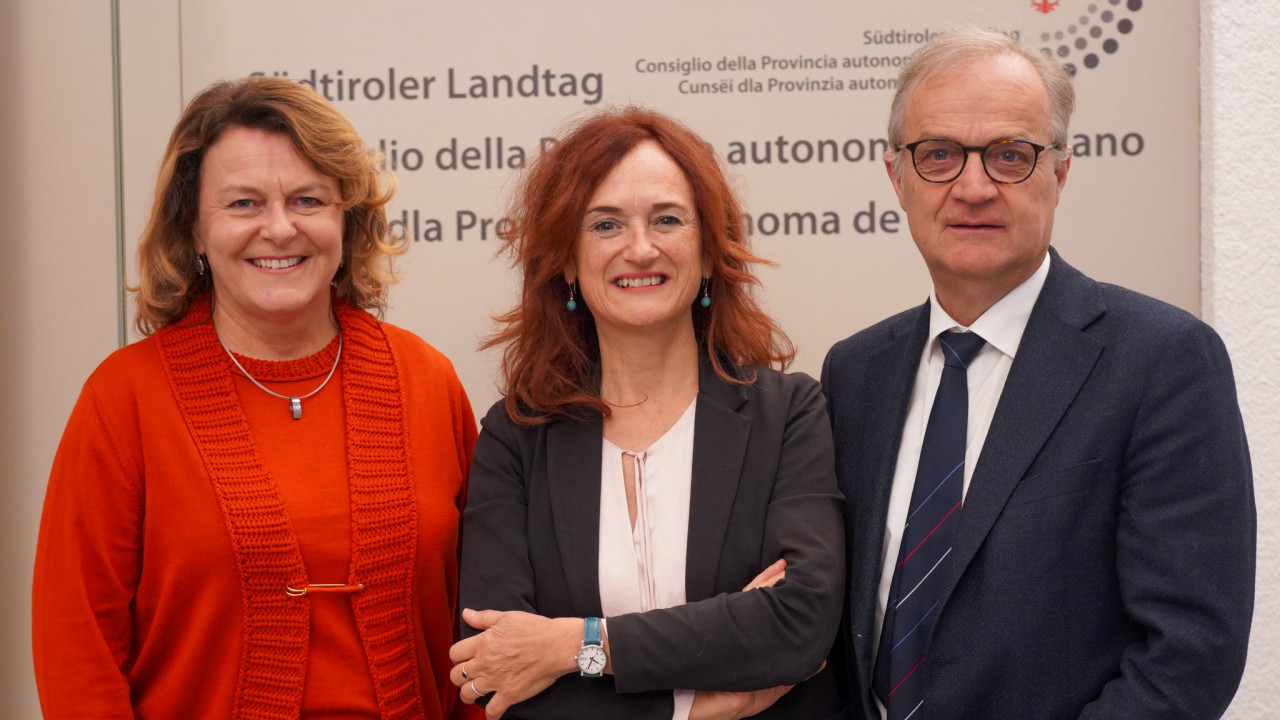 Foppa, Commissione d'inchiesta