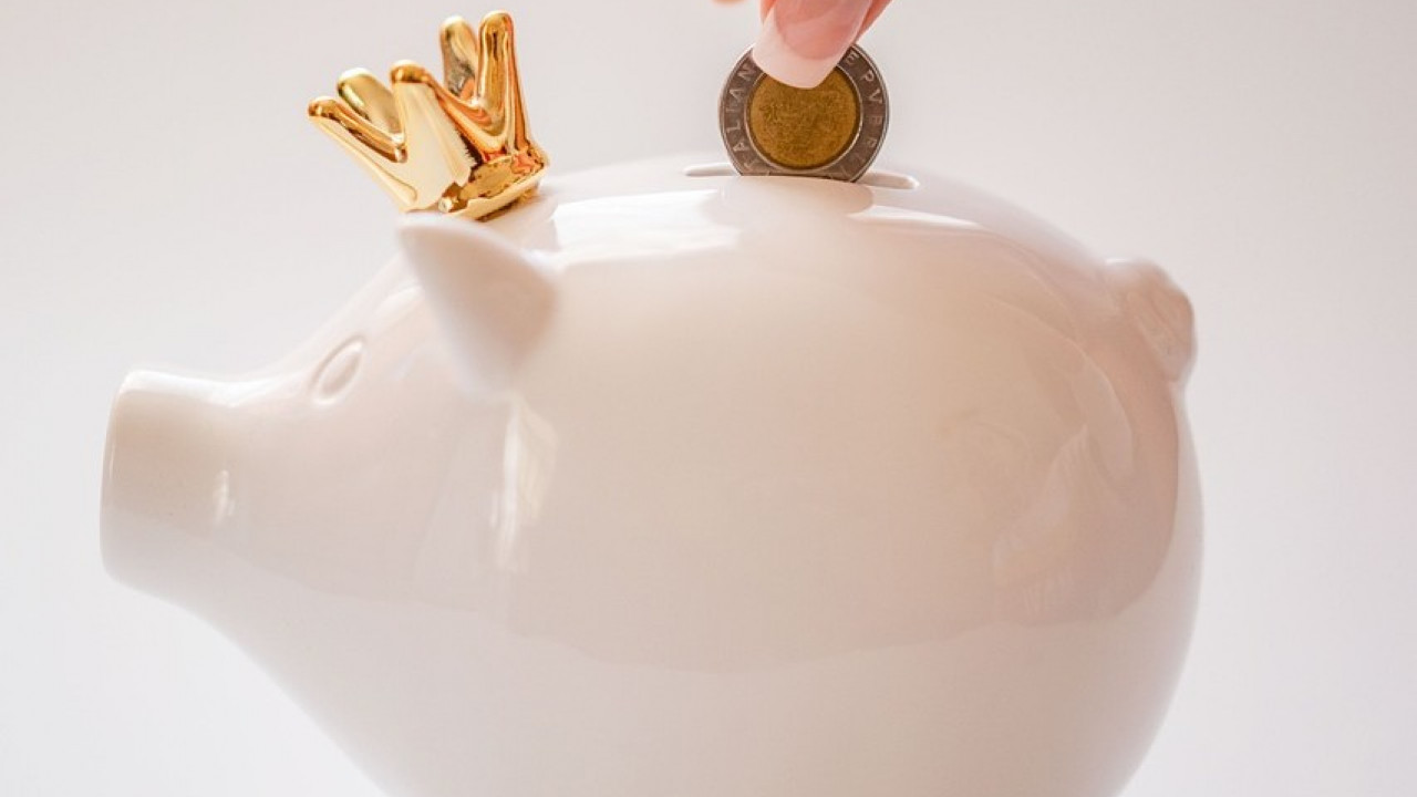 Finanzen, Sparschwein, Frauen, Pensplan