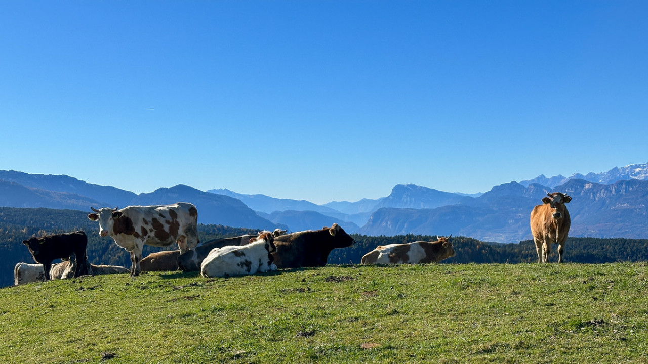 Deutschnofen Kirchsteig