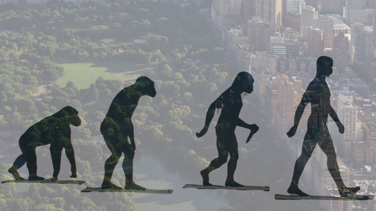 Evolution des Menschen in der Natur