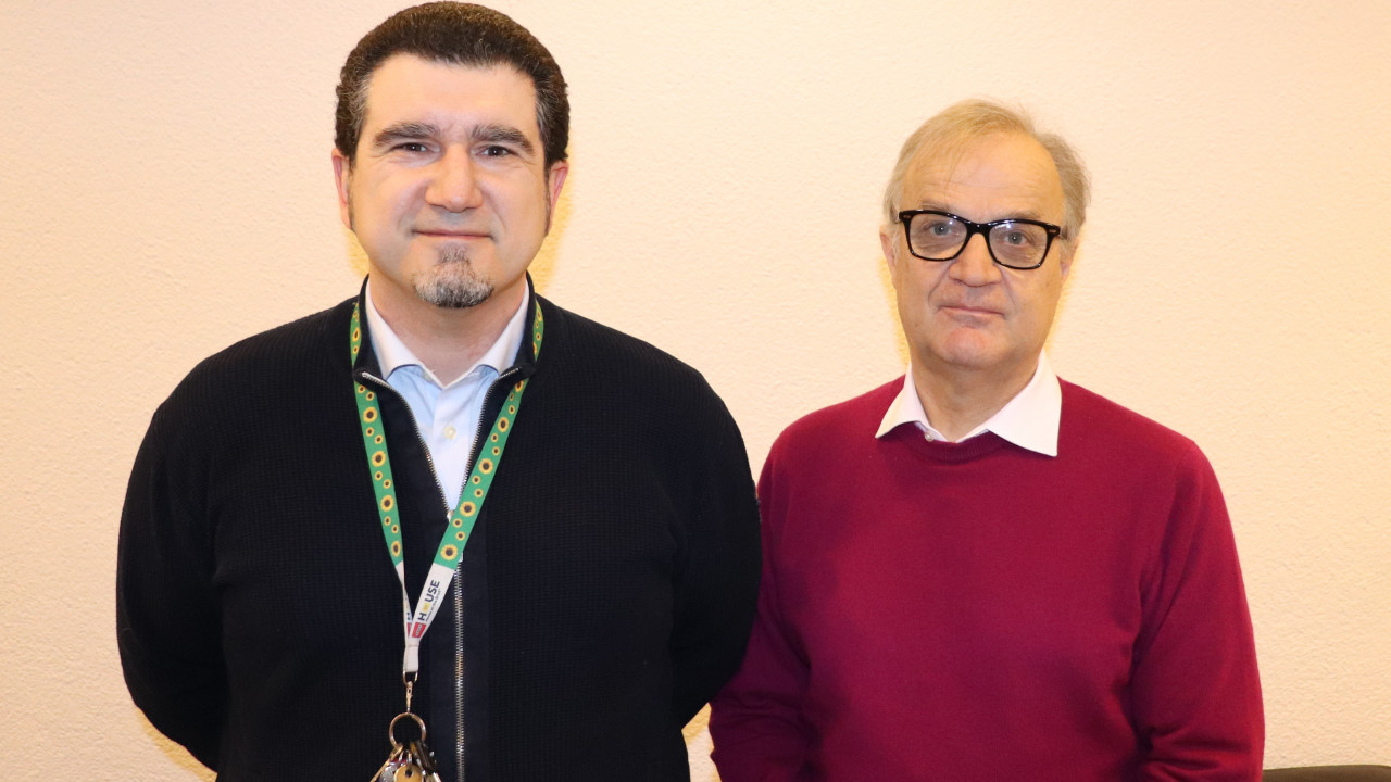 Sonnenblumen für Inklusion