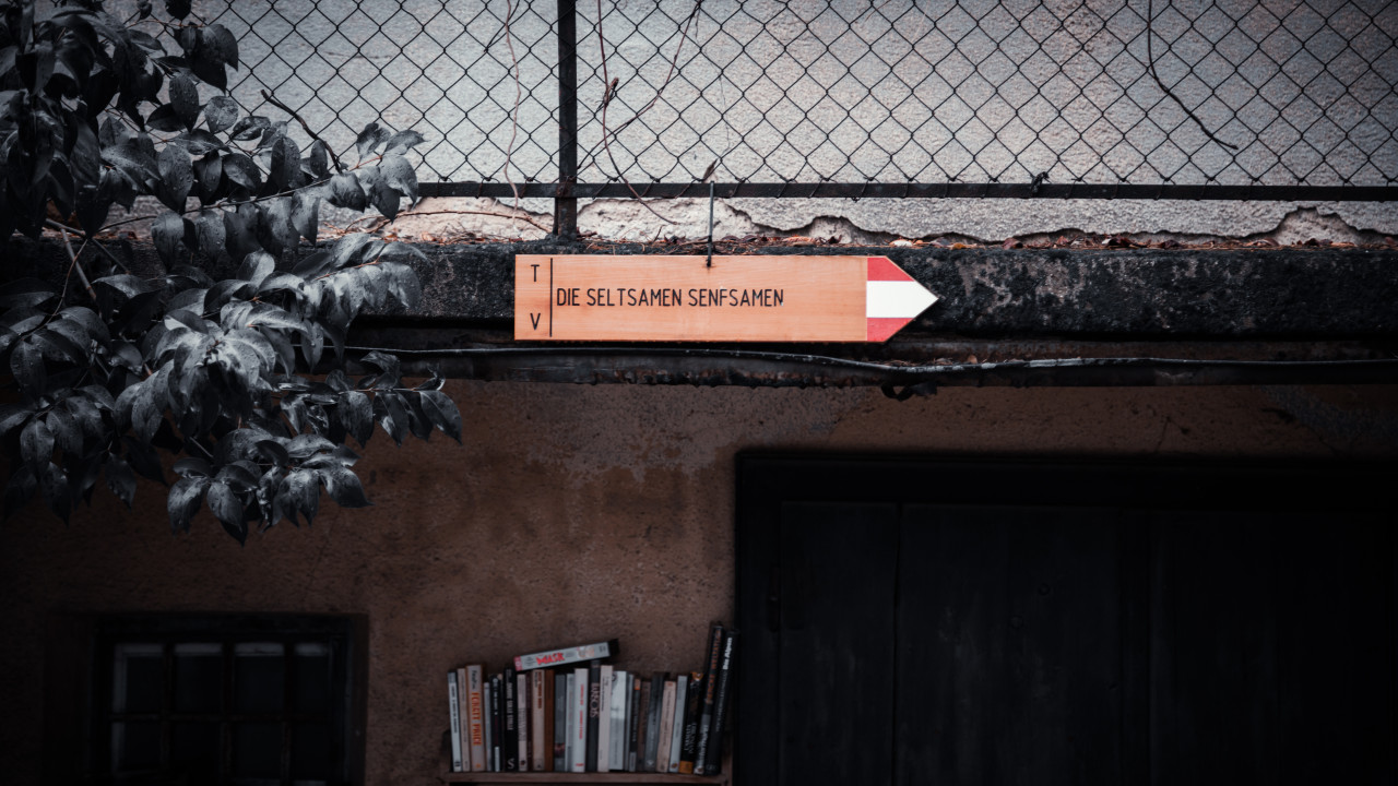 Selstame Senfsamen Brassband 