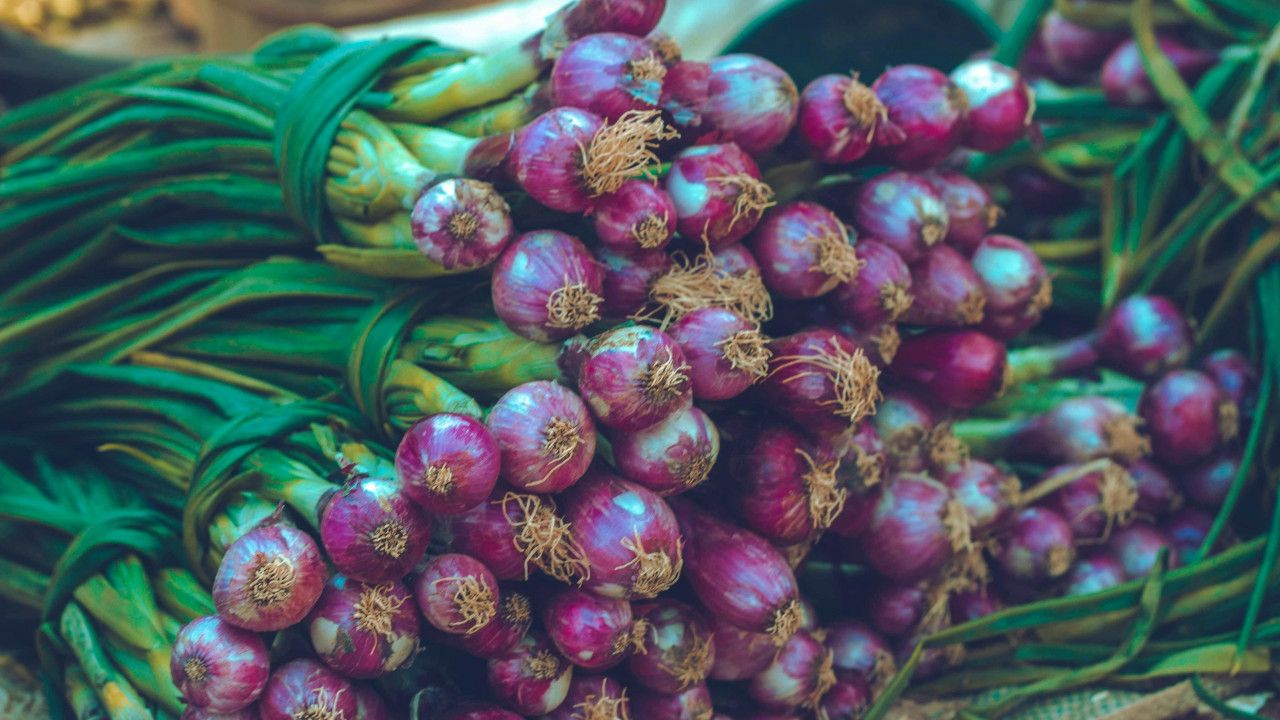 Junge Zwiebeln auf dem Markt