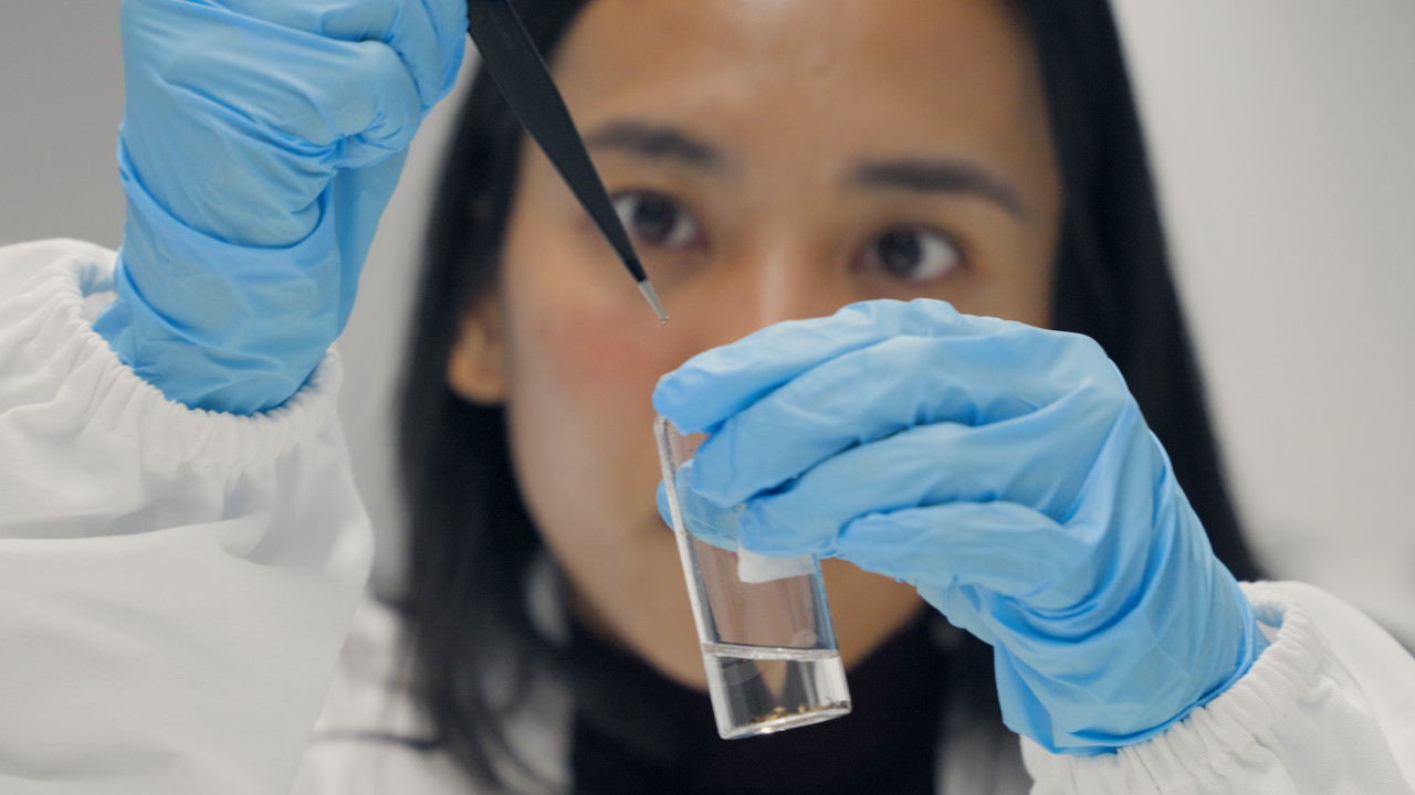 donne frauen Forschung ricerca stem 