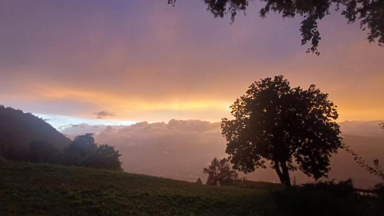 München 1981 Susanna Constantin