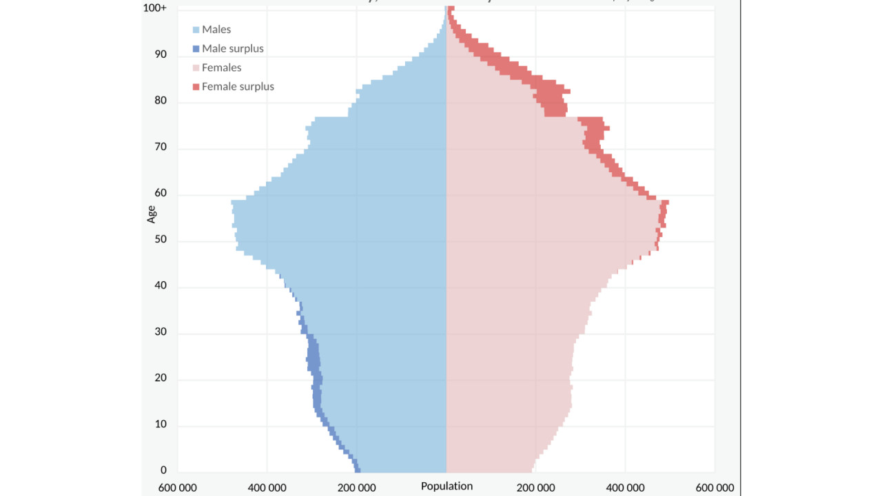 piramide_demografica