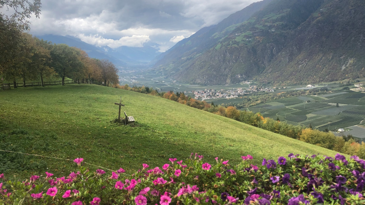 01a_blick_von_den_quadrathofen_ins_vinschgau.jpg