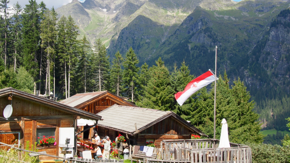 Die Allriss-Alm blickt zum Tribulaun