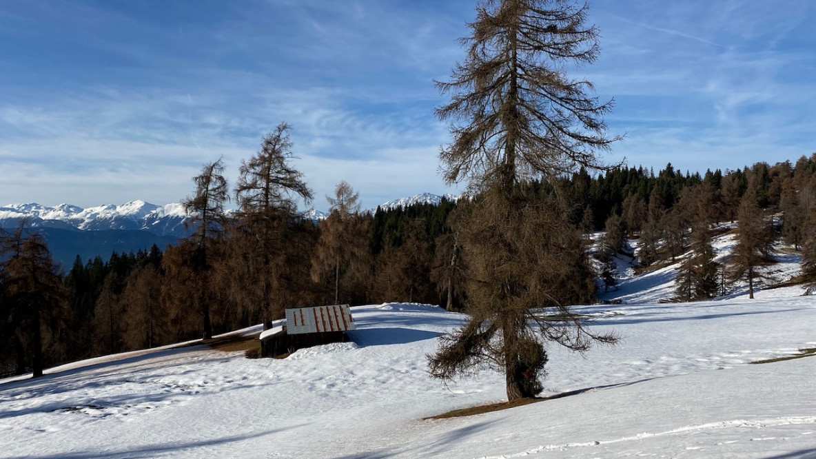 Die Lärchenwiesen am Salten