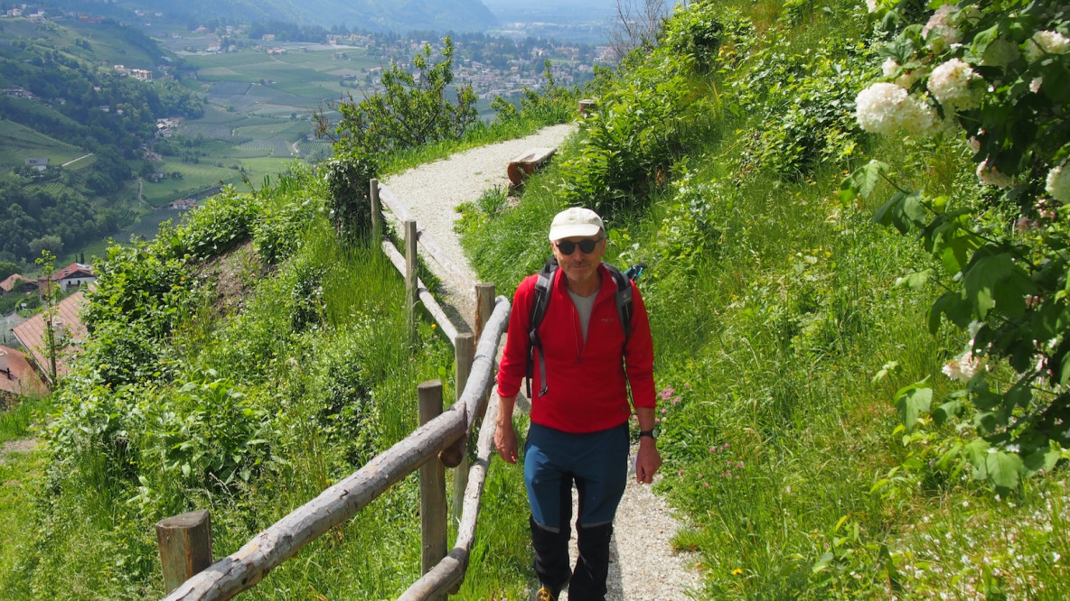 Abschnitt mit Talblick