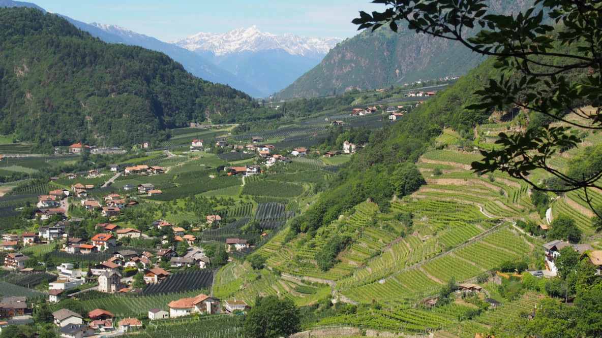 Rückblick nach Algund