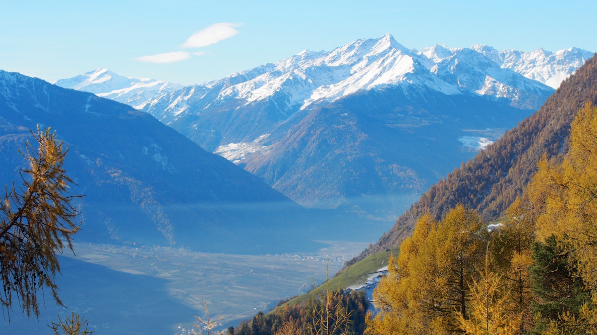 Blick übers Vinschgau